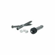 FASTENMASTER Cortex No. 9 x 2.75 in. Square Trim Head Smooth Carbon Steel Screws, White, 1125PK 5915053